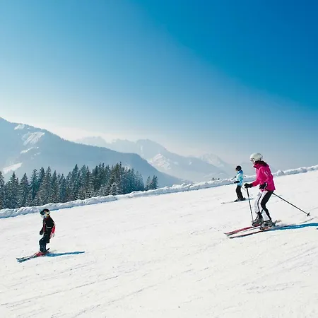 Gimplbauer 파이스테나우