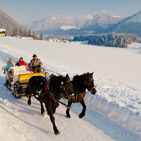 Gimplbauer 아파트 *