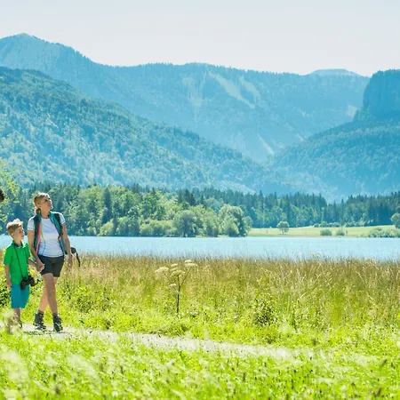 아파트 Gimplbauer 파이스테나우