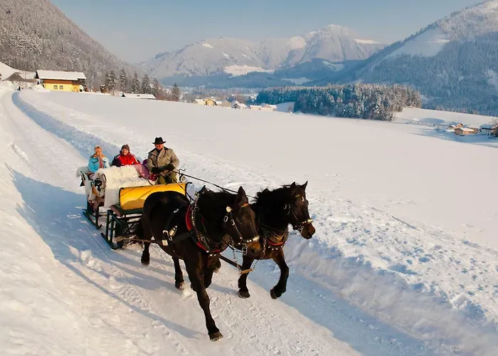 Gimplbauer Lägenhet *