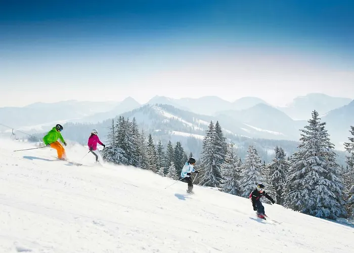 Gimplbauer Faistenau