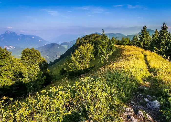 Gimplbauer * Faistenau